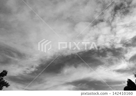 黑白照片34：夏日傍晚，仰望藍天和閃爍的雲朵 142410160