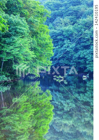 Midsummer Song Morning Swamp Swamp Morning Midsummer Song Morning Swamp Swamp Morning 142410195