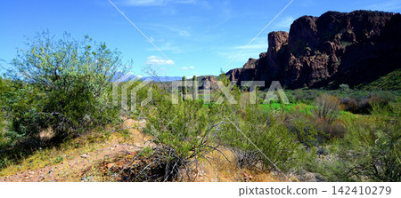 Salt River Recreation Area Arizona Salt River Recreation Area Arizona 142410279