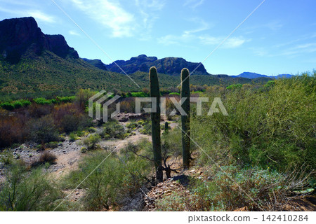Salt River Recreation Area Arizona Salt River Recreation Area Arizona 142410284