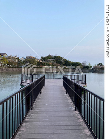 一條木棧道橫跨在寧靜的池塘上。 一條木棧道橫跨在寧靜的池塘上。 142411313