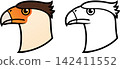 Crested Caracara (Traro, Carancho) bird illustration 142411552