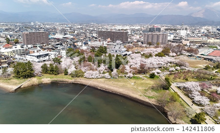 Omi Province, Nagahama Castle: Cherry blossoms in full bloom in spring, viewed from above. Omi Province, Nagahama Castle: Cherry blossoms in full bloom in spring, viewed from above. 142411806