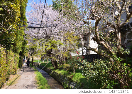京都南禪寺附近荻水壩溢洪道旁的一條小路。 京都南禪寺附近荻水壩溢洪道旁的一條小路。 142411841