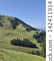 High Alpine Meadow with Winding Trail and Mountain Cabin. Perspective of a gravel path in lush green mountain terrain, leading up toward a secluded alpine house building 142411914