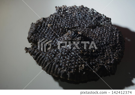 Close-up view of a detailed grey hornet nest showing paper-like layers Close-up view of a detailed grey hornet nest showing paper-like layers 142412374