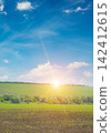 Tranquil nature vista of corn sprouts field dark soil green vegetation background rolling hill dramatic golden dawn rays blue sky white clouds ideal extensive copy space 142412615
