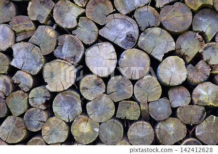 Sawn old logs in a woodpile Sawn old logs in a woodpile 142412628