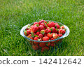 Fresh organic strawberries in a glass cup on a sunny day in the garden 142412642
