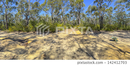 A remote dirt walking track in the Blue Mountains National Park A remote dirt walking track in the Blue Mountains National Park 142412703