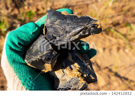 Close-up of raw black flint shards held in a worker's gloved hand, showcasing natural sedimentary mineral texture and sharp edges found during geological field research outdoors Close-up of raw black flint shards held in a worker's gloved hand, showcasing natural sedimentary mineral texture and sharp edges found during geological field research outdoors 142412852