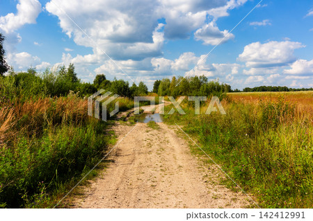 Rustic dirt path winding through lush summer meadows with tall golden grass and a small puddle under a vibrant blue sky filled with fluffy white clouds in the countryside Rustic dirt path winding through lush summer meadows with tall golden grass and a small puddle under a vibrant blue sky filled with fluffy white clouds in the countryside 142412991