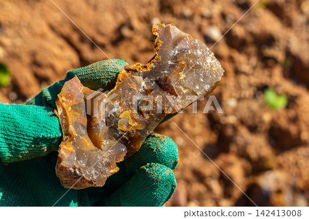 A hand in a green work glove holding a freshly broken chalcedony concretion, showcasing its translucent brown crystalline texture against a blurred natural geological quarry background A hand in a green work glove holding a freshly broken chalcedony concretion, showcasing its translucent brown crystalline texture against a blurred natural geological quarry background 142413008