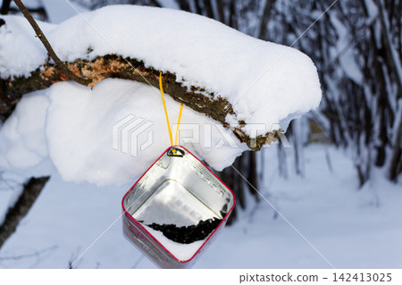 Homemade bird feeder made from a metal tin filled with seeds hanging on a snow-covered tree branch in a winter forest, providing food for wild birds during cold season Homemade bird feeder made from a metal tin filled with seeds hanging on a snow-covered tree branch in a winter forest, providing food for wild birds during cold season 142413025