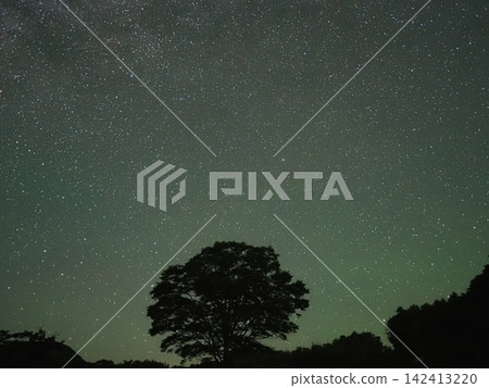 櫸樹和北極星的輪廓（20260825023446） 142413220