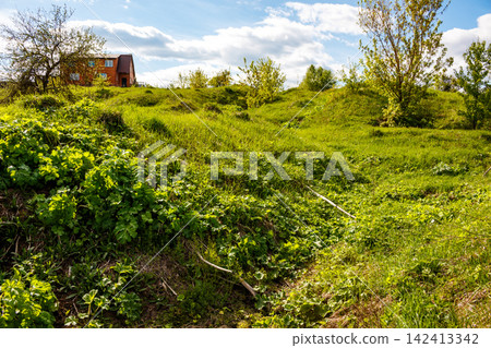 Vibrant green grassy meadow with rolling hills and lush vegetation under a bright sunny sky, featuring a cozy rustic house nestled in the peaceful countryside landscape during springtime Vibrant green grassy meadow with rolling hills and lush vegetation under a bright sunny sky, featuring a cozy rustic house nestled in the peaceful countryside landscape during springtime 142413342