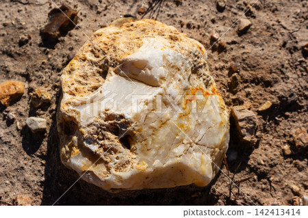 Natural raw chalcedony flint stone with rugged geological texture lying on dry ground, unearthed from moraine deposits, showcasing earthy tones and unique mineral formations outdoors Natural raw chalcedony flint stone with rugged geological texture lying on dry ground, unearthed from moraine deposits, showcasing earthy tones and unique mineral formations outdoors 142413414