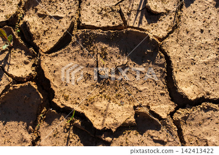 Top-down view of parched cracked clay earth showing intricate geometric patterns and arid texture from severe drought, creating a compelling rustic natural background texture 142413422