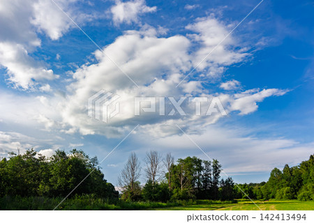 Fluffy white clouds drifting across a brilliant deep blue summer sky over a vibrant green meadow and lush trees, capturing a peaceful and serene outdoor nature atmosphere Fluffy white clouds drifting across a brilliant deep blue summer sky over a vibrant green meadow and lush trees, capturing a peaceful and serene outdoor nature atmosphere 142413494