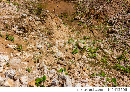 Rugged limestone quarry landscape featuring scattered rocky debris and coarse rubble with small patches of wild green vegetation growing amidst the excavated earth and muddy soil pools Rugged limestone quarry landscape featuring scattered rocky debris and coarse rubble with small patches of wild green vegetation growing amidst the excavated earth and muddy soil pools 142413506