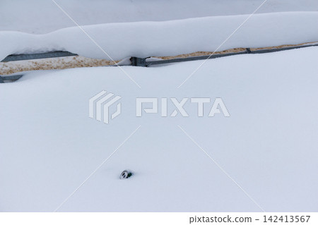 Metal guardrail blanketed in fresh thick snow along a frosty roadside with a discarded aluminum can peeking through the white drift on a cold winter day outdoors Metal guardrail blanketed in fresh thick snow along a frosty roadside with a discarded aluminum can peeking through the white drift on a cold winter day outdoors 142413567