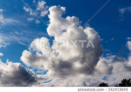 Fluffy white cumulus clouds drifting across a vibrant deep blue sky during a sunny day, showcasing high contrast and natural light, perfect for atmospheric and weather backgrounds Fluffy white cumulus clouds drifting across a vibrant deep blue sky during a sunny day, showcasing high contrast and natural light, perfect for atmospheric and weather backgrounds 142413643