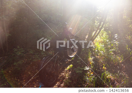 Electric fat bike parked on a narrow forest trail during a golden hour, captured with beautiful lens flare and soft sunlight filtering through the dense woodland trees Electric fat bike parked on a narrow forest trail during a golden hour, captured with beautiful lens flare and soft sunlight filtering through the dense woodland trees 142413656