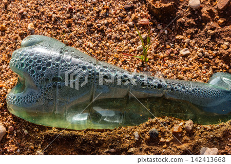 Close-up of a discarded plastic bottle lying on dry ground, featuring a detailed hydrophobic surface pattern with numerous sparkling condensation water droplets covering the translucent container Close-up of a discarded plastic bottle lying on dry ground, featuring a detailed hydrophobic surface pattern with numerous sparkling condensation water droplets covering the translucent container 142413668