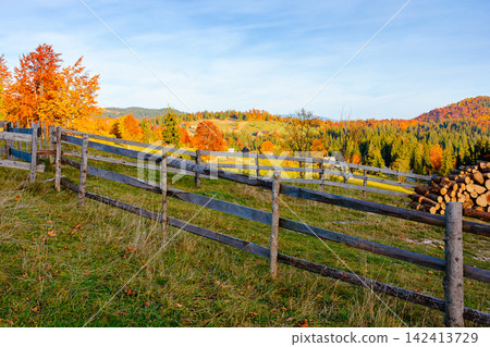 Romania countryside on autumn evening. mountain scenery with wooden fence through hill. rural life in remote area of Apuseni natural park Romania countryside on autumn evening. mountain scenery with wooden fence through hill. rural life in remote area of Apuseni natural park 142413729