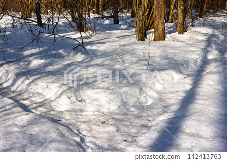 Sunlight and tree shadows play on wet melting snow in a sunny March woodland, capturing the beautiful early spring transition vibes Sunlight and tree shadows play on wet melting snow in a sunny March woodland, capturing the beautiful early spring transition vibes 142413763