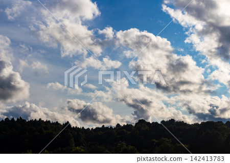 Dynamic sky boasts fluffy cumulus clouds bathed in sunlight, contrasting with a deep blue expanse. A dark forest fringe anchors the scene Dynamic sky boasts fluffy cumulus clouds bathed in sunlight, contrasting with a deep blue expanse. A dark forest fringe anchors the scene 142413783