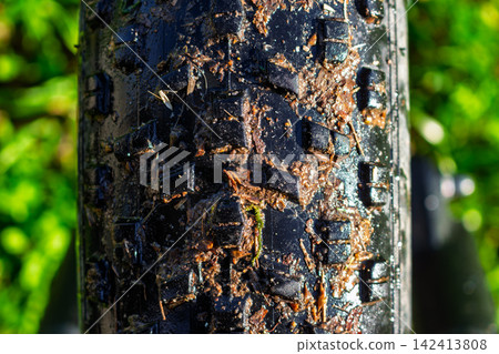 Dirty fat bike tire with aggressive tread pattern covered in mud and trail debris, extreme close up of rubber wheel surface on a sunny day in the forest environment 142413808