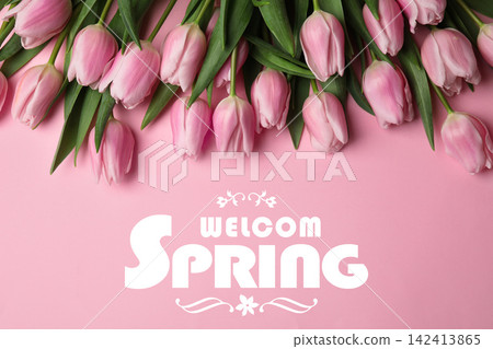 Beautiful tulips on light pink background, flat lay. Hello spring Beautiful tulips on light pink background, flat lay. Hello spring 142413865