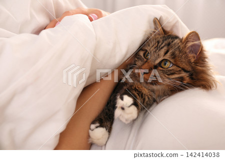 Woman with her cute cat on bed, closeup. Fluffy pet Woman with her cute cat on bed, closeup. Fluffy pet 142414038