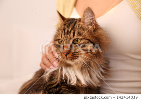 Beautiful woman with her cute cat on light background, closeup. Fluffy pet Beautiful woman with her cute cat on light background, closeup. Fluffy pet 142414039