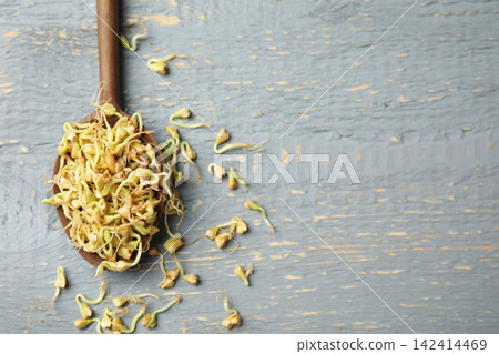 Spoon with sprouted green buckwheat on grey wooden table, flat lay. Space for text Spoon with sprouted green buckwheat on grey wooden table, flat lay. Space for text 142414469