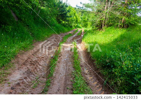 Deep muddy rural track with heavy tire ruts winding through lush summer forest, wet soil texture with puddles after rain, wilderness path in vibrant green woodland greenery Deep muddy rural track with heavy tire ruts winding through lush summer forest, wet soil texture with puddles after rain, wilderness path in vibrant green woodland greenery 142415033