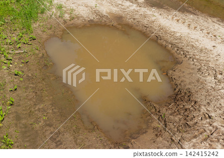 Small muddy puddle sitting on a dirt path with tire tracks and green grass patches under bright daylight, capturing a simple rural landscape detail in summer environment Small muddy puddle sitting on a dirt path with tire tracks and green grass patches under bright daylight, capturing a simple rural landscape detail in summer environment 142415242