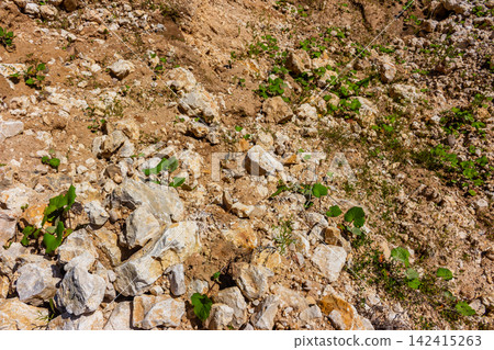 Crushed limestone rocks scattered across a small open pit mine, showing geological texture of broken stones, gravel, and sparse green weeds growing on the rugged sunny quarry terrain Crushed limestone rocks scattered across a small open pit mine, showing geological texture of broken stones, gravel, and sparse green weeds growing on the rugged sunny quarry terrain 142415263