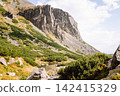 A wide view of a mountain valley showing rocks, green plants, and trees under a cloudy sky. 142415329