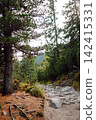 A wide view of a mountain valley showing rocks, green plants, and trees under a cloudy sky. 142415331
