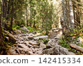 A wide view of a mountain valley showing rocks, green plants, and trees under a cloudy sky. 142415334