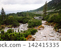 A wide view of a mountain valley showing rocks, green plants, and trees under a cloudy sky. 142415335