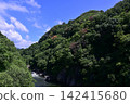 The mountain scenery of Takatsudo Gorge, enveloped in deep green. 142415680