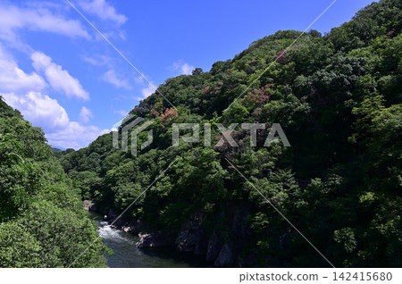 The mountain scenery of Takatsudo Gorge, enveloped in deep green. The mountain scenery of Takatsudo Gorge, enveloped in deep green. 142415680