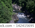 Landscape with green 142415695