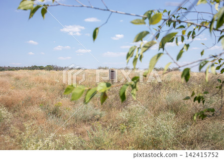 Green leafy branch in the foreground overlooking a dry summer meadow under a bright blue sky, capturing seasonal vegetation, rural nature, warm weather and peaceful countryside scenery Green leafy branch in the foreground overlooking a dry summer meadow under a bright blue sky, capturing seasonal vegetation, rural nature, warm weather and peaceful countryside scenery 142415752