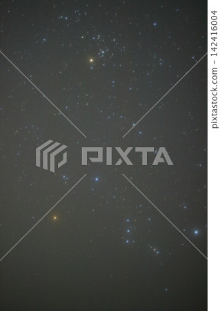 Nosegawa Village: Summer Starry Sky Nosegawa Village: Summer Starry Sky 142416004