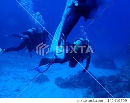 潛水員在蔚藍的海洋中暢遊 潛水員在蔚藍的海洋中暢遊 142416799