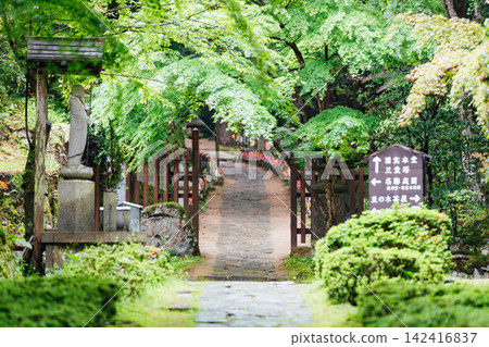 [Higashiomi City, Shiga Prefecture] Kongorinji Temple: Fresh greenery and the white gate 142416837